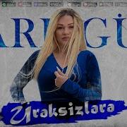 Sari Gul