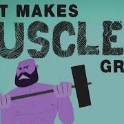 Muscle Growth Transformation