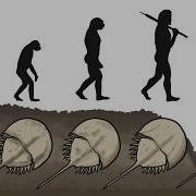 Broken Evolution