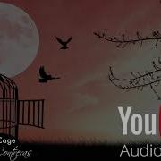 Golden Cage No Copyright Music