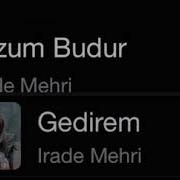 Irade Gedirem
