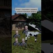 Меллстрой Мем