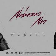 Медляк Nebezao Nю