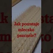 Mleczko