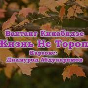 Я Жизнь Не Тороплю Кикабидзе Караоке