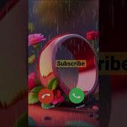 Rington Telefon Uchun