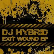 Dj Hybrid It S Serious