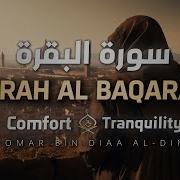 عمر إبن ضياء