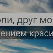 Терпи Мой Друг Терпением Красивым