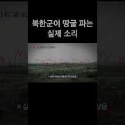 신음소리