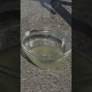 Gasolina Minus