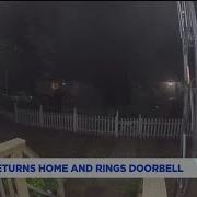 Cat Rings The Doorbell