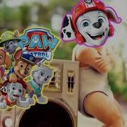 Paw Patrol X Baby Dance Coffin Dance Meme Parody