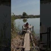 Завидуйте Девочкам Мужики