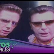 Pluma Gay Morancos