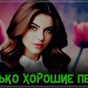 Весёлые Блатные Песни