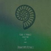 Vyomacci K2W0 Losing My Mind