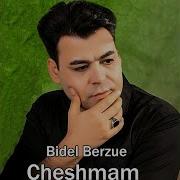Cheshmam