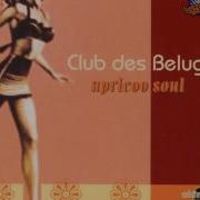 Club Des Belugas Let Love Lead The Way