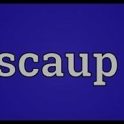 Scaup Meaning