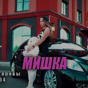 Ту 134 Мишка
