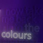 Cat Dealers Colours Lights