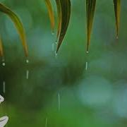 Rainy Time