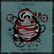 Spaceships Steaming Satellites