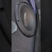 Pioner Bass
