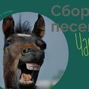 Песни Про Лошадей