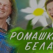 Бардин И Арламов Ромашка Белая