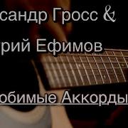 Любимые Аккорды