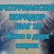 Арктурианский Коридор Шаг 19