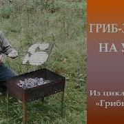 Гриб Зонтик На Углях Грибная Кухня