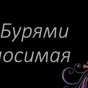 Бурями Носимая