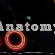 Nextro Anatomy