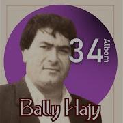 Bally Hajy Gelsene