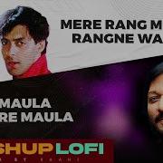 Mera Rang Mein Rangene Wali Chillout Mix