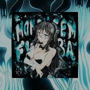 Montagem Futaba