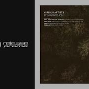 D Angelo Organic Motion