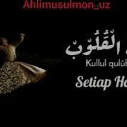 Ya Habi Ya Shafi