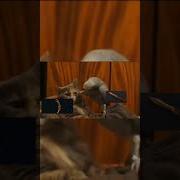 Ты Лох Original Meme