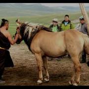 B Boldbaatar