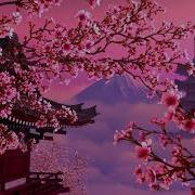 Sakura Chill Trap Music