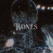 Imagine Dragons Bones Lyrics