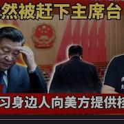 老灯811