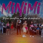 Minimi