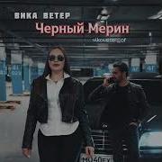 Вика Ветер Черный Мерин