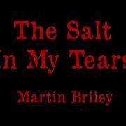 Salt In My Tears Karaoke Version