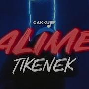 Tikenek